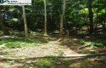 Foto 08