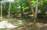 Foto 07