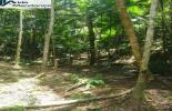 Foto 06