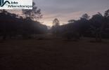 Foto 02