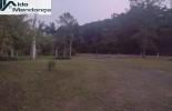 Foto 04