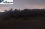 Foto 03