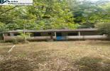 Foto 01