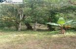 Foto 02