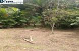 Foto 06