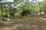 Foto 05