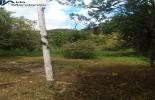 Foto 07