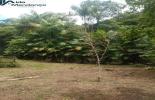 Foto 08