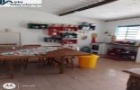 Foto 08
