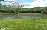 Foto 09