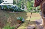 Foto 03