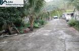 Foto 01