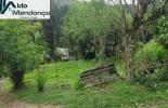 Foto 08