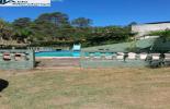 Foto 06