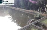 Foto 07