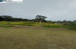 Foto 06