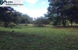 Foto 06