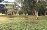 Foto 03