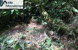 Foto 09