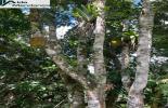 Foto 09