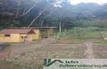 Foto 03