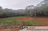 Foto 05
