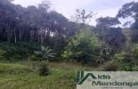 Foto 04