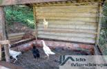 Foto 31