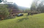 Foto 30