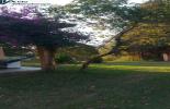 Foto 56