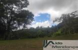 Foto 09