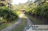 Foto 47