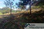 Foto 03