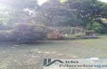 Foto 38