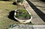 Foto 31