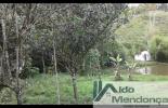 Foto 09