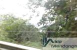 Foto 03