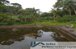 Foto 04