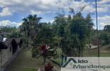 Foto 54