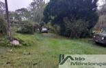 Foto 06
