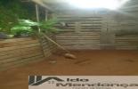 Foto 05