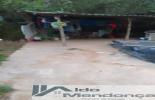 Foto 07