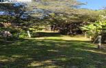 Foto 02