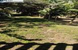Foto 05
