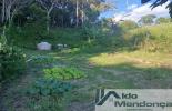 Foto 03