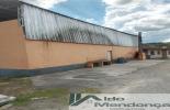 Foto 04