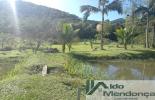Foto 08