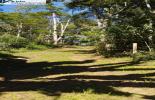 Foto 08