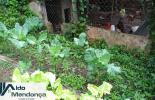 Foto 05