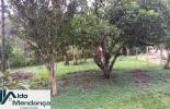 Foto 06